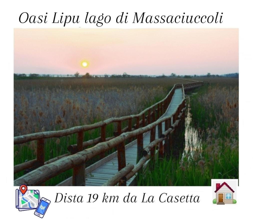 Apartment La Casetta Camaiore